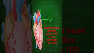 Normal heart Rhythm#heartbeat#viral #viral#trending