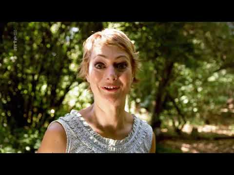 X:enius: Warum sterben unsere Singvögel? Doku (2017)