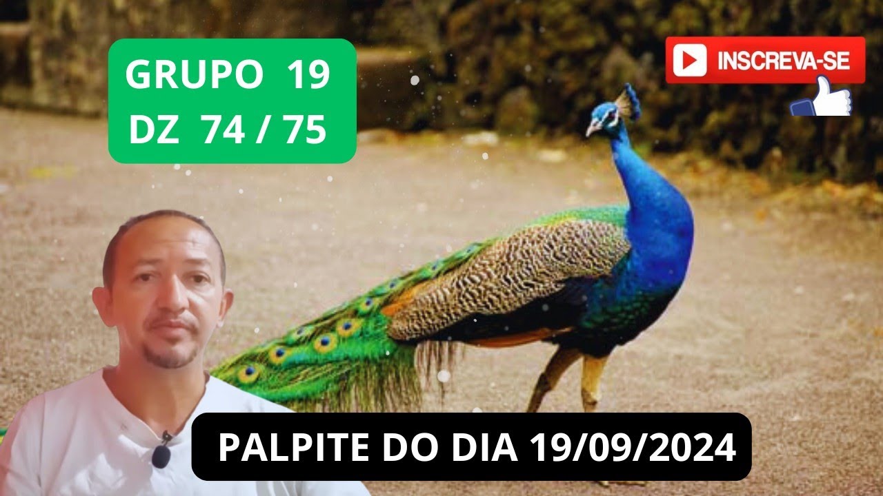 NOVO PALPITE DO DIA 19/09/2024