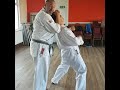 Chinte Bunkai