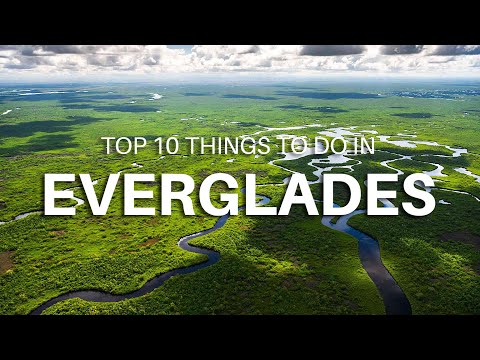 Top 10 Things To Do In Everglades National Park, Florida