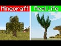 Minecraft Vs Real Life Realistic Tree