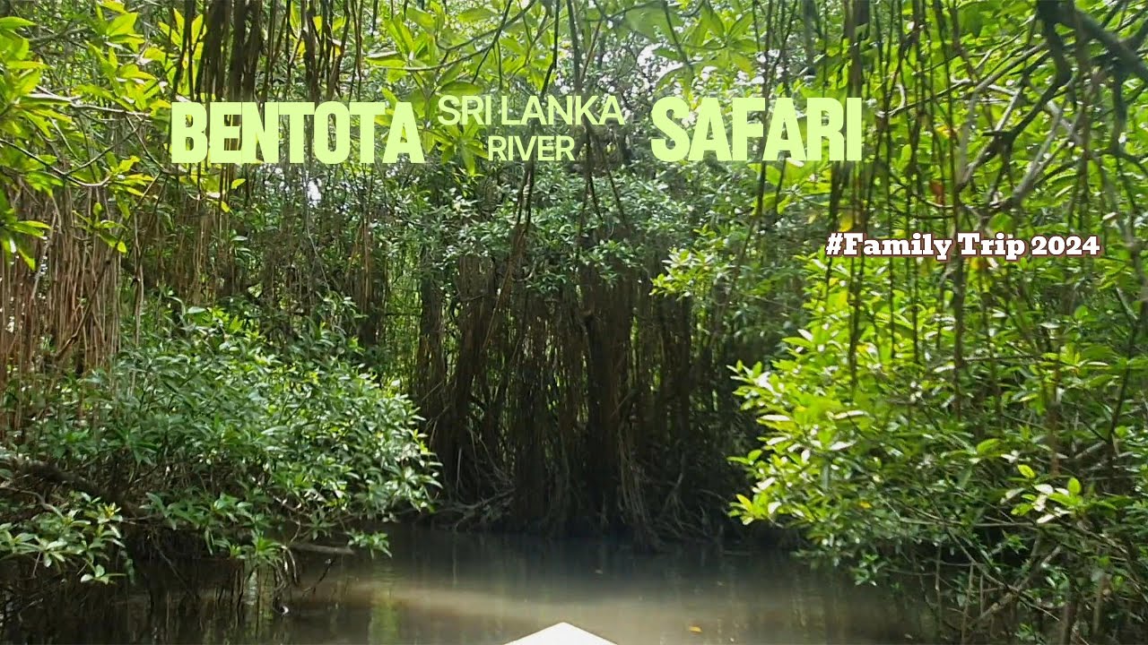 Experience Bentota River Safari with this virtual tour.