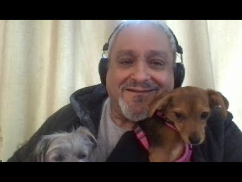 Ray Vega Interview by Monk Rowe - 7/20/2023 - Zoom
