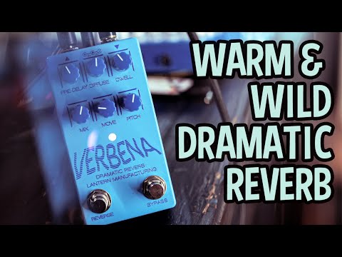 Old School Non-DSP Digital Echo - Verbena DRAMatic Reverb