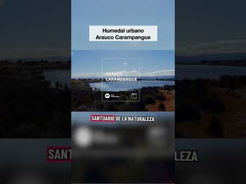 Humedal urbano Arauco Carampangue, ruta patrimonial