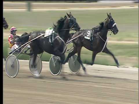 Trotto 22/06/2017 - 1ª corsa