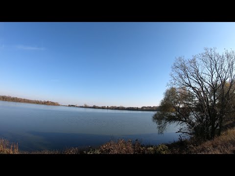 youtube embeded image