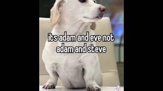 homophobic dog