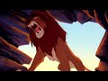 Timón Y Pumba Simba Salva La Vida De Sus Amigos HD Español Latino