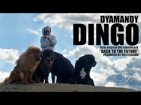 Dyamandy - Dingo(Official Video)
