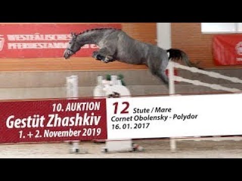 12 Stute / Mare v. Cornet Obolensky - Polydor