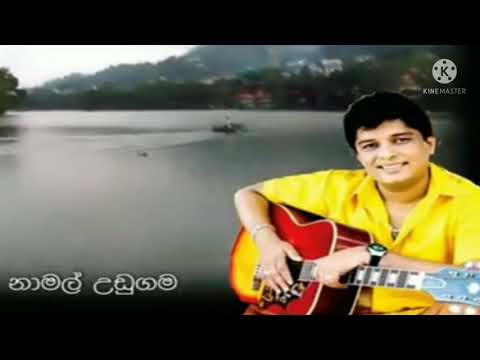 Nuwara Wewata | නුවර වැවට හාදුදිදී | Namal Udugama