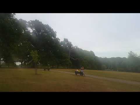 Kujtim Dashurie. Dhori Polena