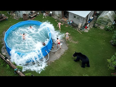 That Really Happened in People's Backyards