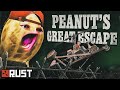 Peanut Does The Impossible | Rust