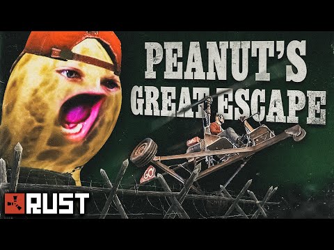Peanut Does The Impossible | Rust