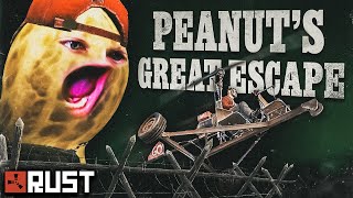 Peanut Does The Impossible | Rust