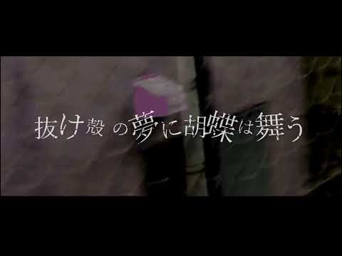 Butterflies Dance in the Dream of a Empty Shell