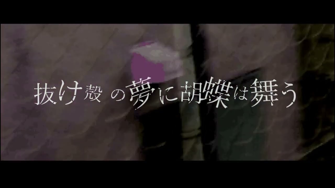 Butterflies Dance in the Dream of a Empty Shell