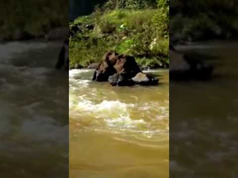 Barulho dessa cachoeira #cachoeira #matogrosso #naturezasurpreendente
