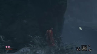 SEKIRO