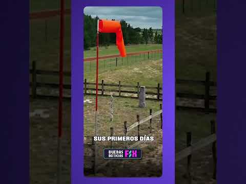 AEROPUERTO INTERNACIONAL DE CARMELO