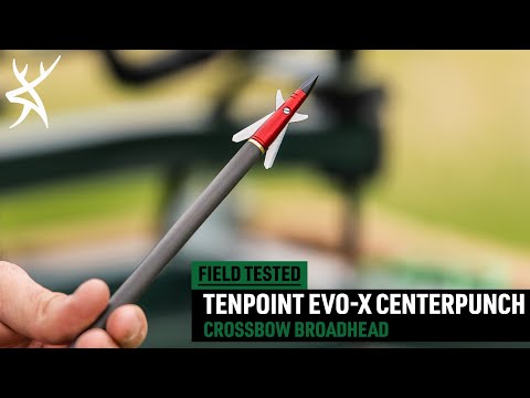 Why are there different weights