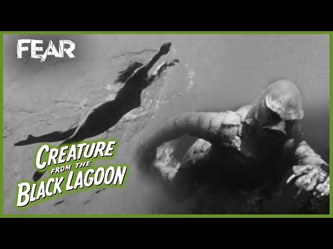 Swimming in The Black Lagoon | Creature From The Black Lagoon (1954)
