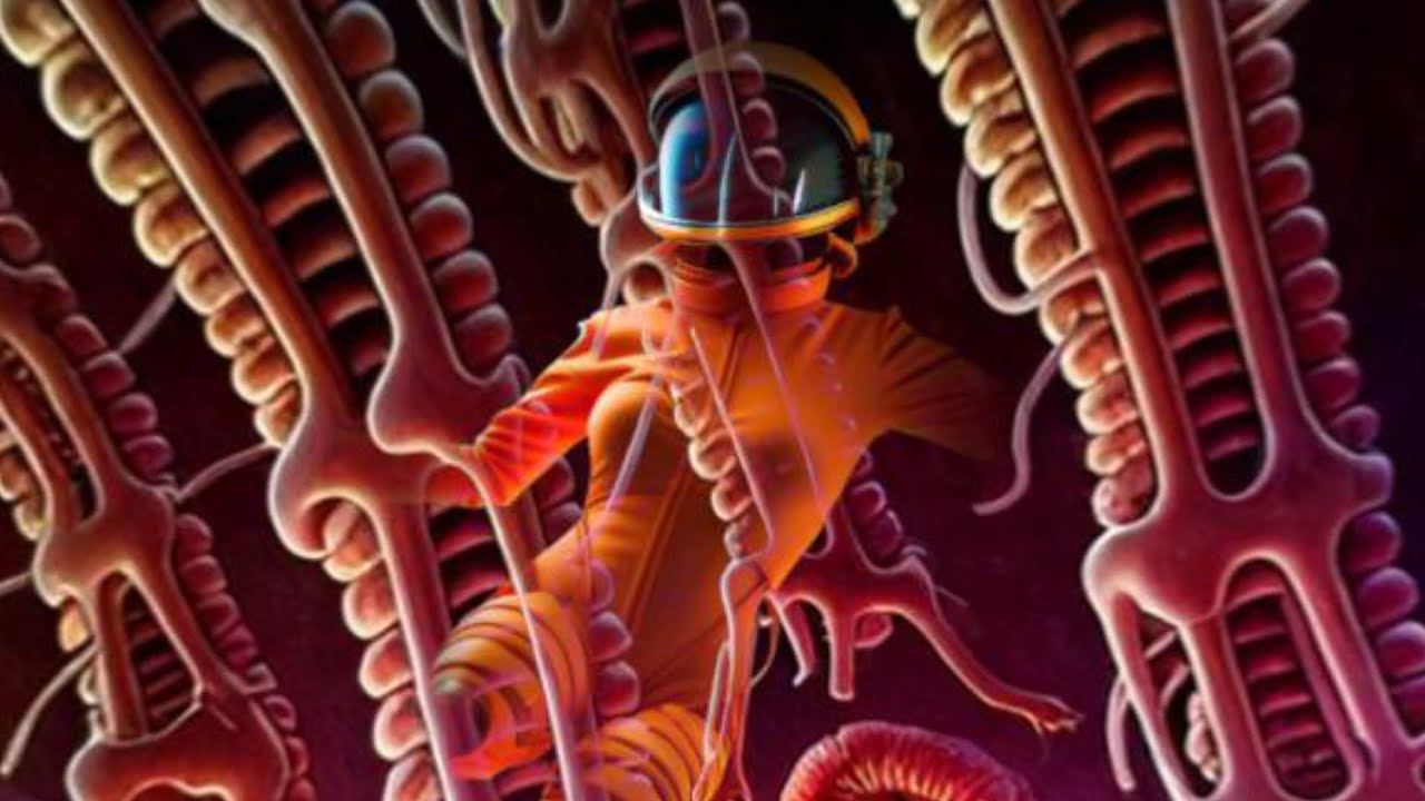 The 🩸Meaty Explorer's Tragic Adventure with AI Animation🤖: Angels Don't Live in Hell 🔥