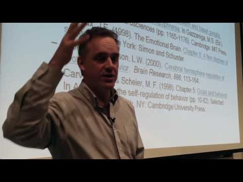 2017 Personality 15: Biology/Traits: The Limbic System