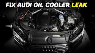 How to Remove Oil Cooler Housing for Audi Quattro A4 B9 (2017-2021) - The Easy Way! #a3 #a4 #q5 #b9