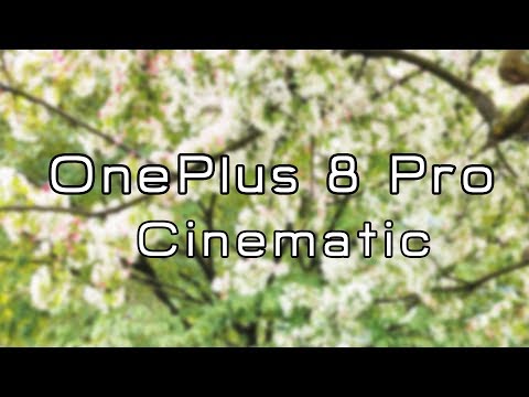 Тестирование камеры OnePlus 8 Pro