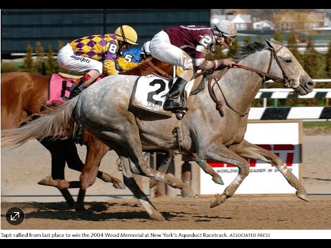 TAPIT Wood Memorial Stakes (G1) 2004