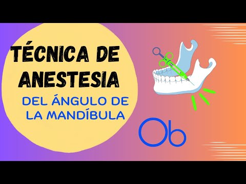 Técnica del Ángulo de la Mandíbula 💉