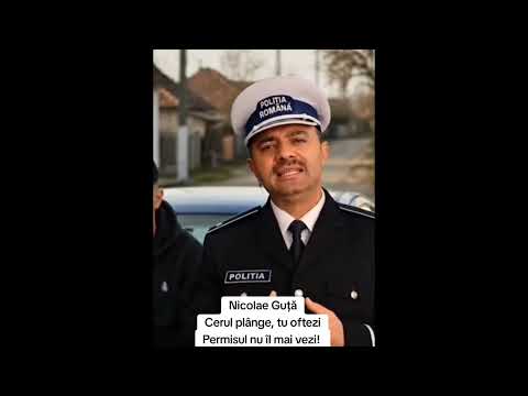 Nicolae Guță - Cerul plânge tu oftezi, permisul nu îl mai vezi 