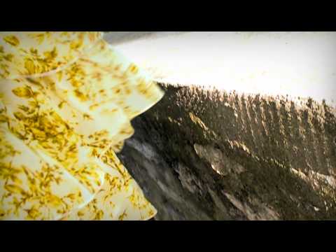 KLAPA PUNTAMIKA - TIJA BI TE SVOJOM ZVAT (OFFICIAL VIDEO)