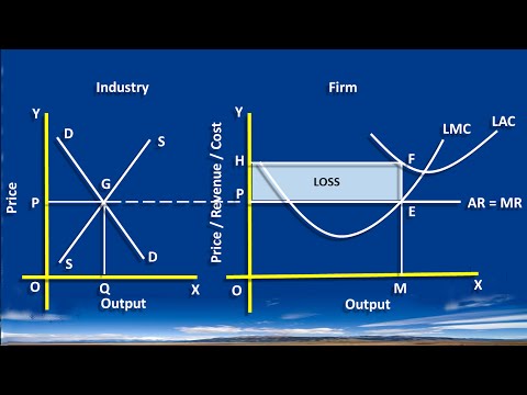 Perfect Competition :  Long Run Equilibrium
