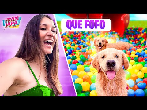 MEUS CACHORROS EM UMA PISCINA DE BOLINHAS - Fran Japa