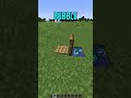 Minecraft Stasis Chamber Shorts