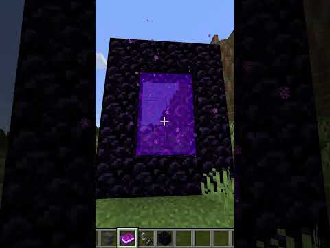 AronHS - You Have A Custom Minecraft Dimension.....