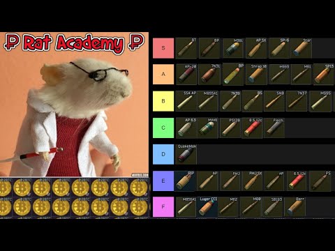 Tarkov Rat Academy - Best Ammo Tier Listing