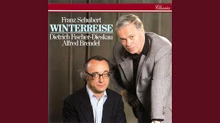 Schubert: Winterreise, D.911 - 9. Irrlicht