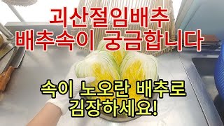 [괴산절임배추]괴산울엄마와 함께하는 김장체험