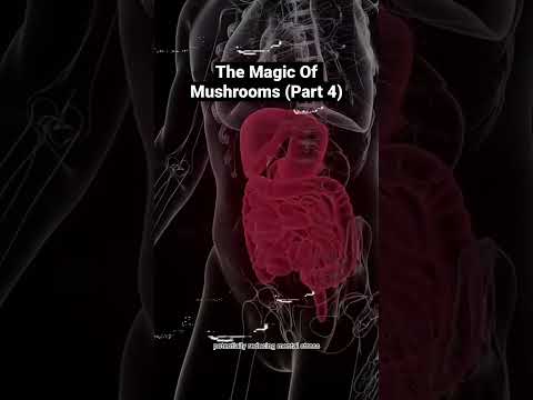 Unlocking the Benefits of Lion's Mane Mushrooms: A Comprehensive Guide