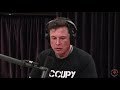 Elon Musk on Artificial Intelligence (Joe Rogan)