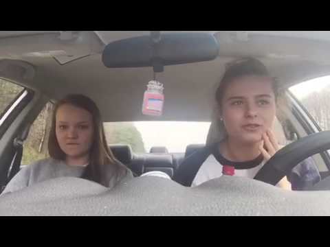 Maddie Abby road trip