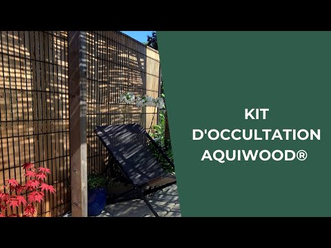 download lagu mp3 mp4 Aquiwood, download lagu Aquiwood gratis, unduh video klip Aquiwood