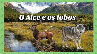 O Alce E Os Lobos