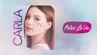 Merci La Vie Lyrics English Translation